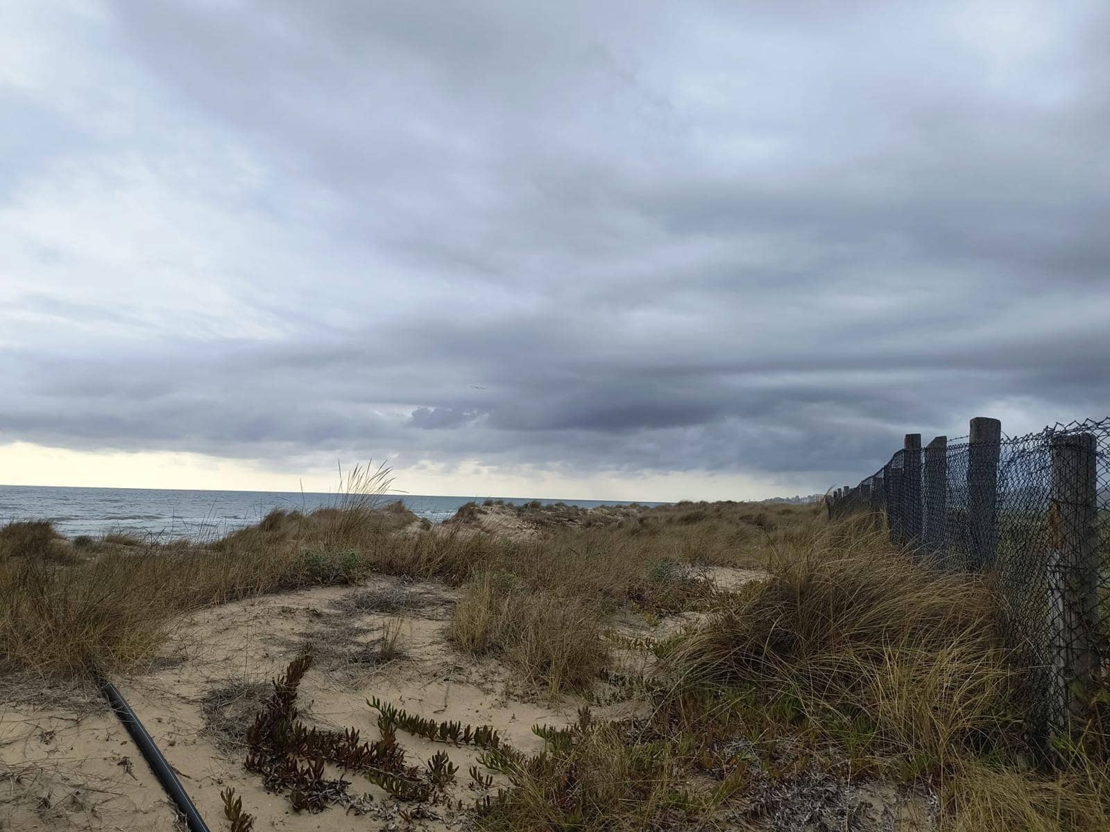 12 sovrum Finca/Hus på landet till salu i Cullera med garage - 4 500 000 € (Ref: 9152362)
