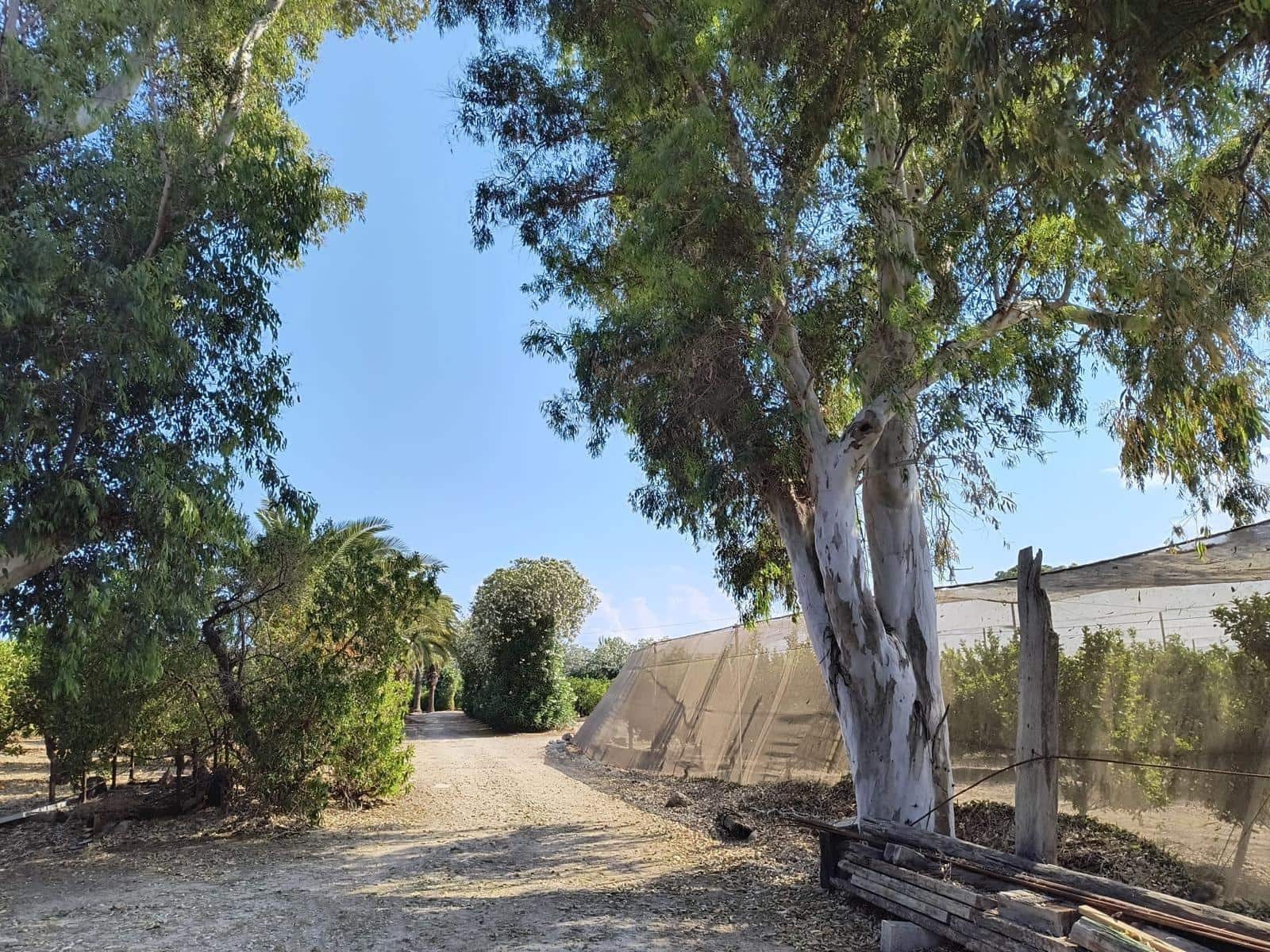12 sovrum Finca/Hus på landet till salu i Cullera med garage - 4 500 000 € (Ref: 9152362)