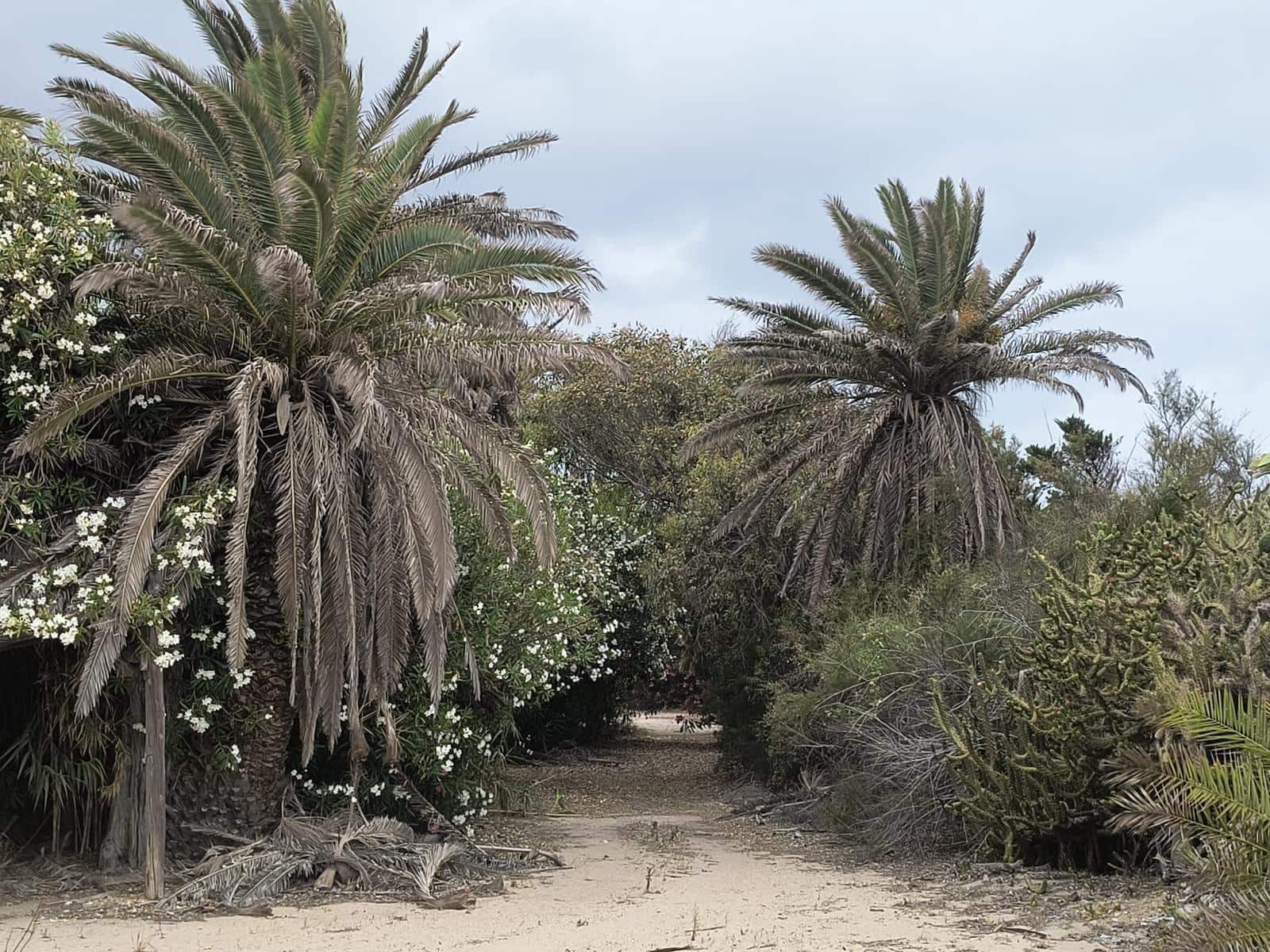12 sovrum Finca/Hus på landet till salu i Cullera med garage - 4 500 000 € (Ref: 9152362)