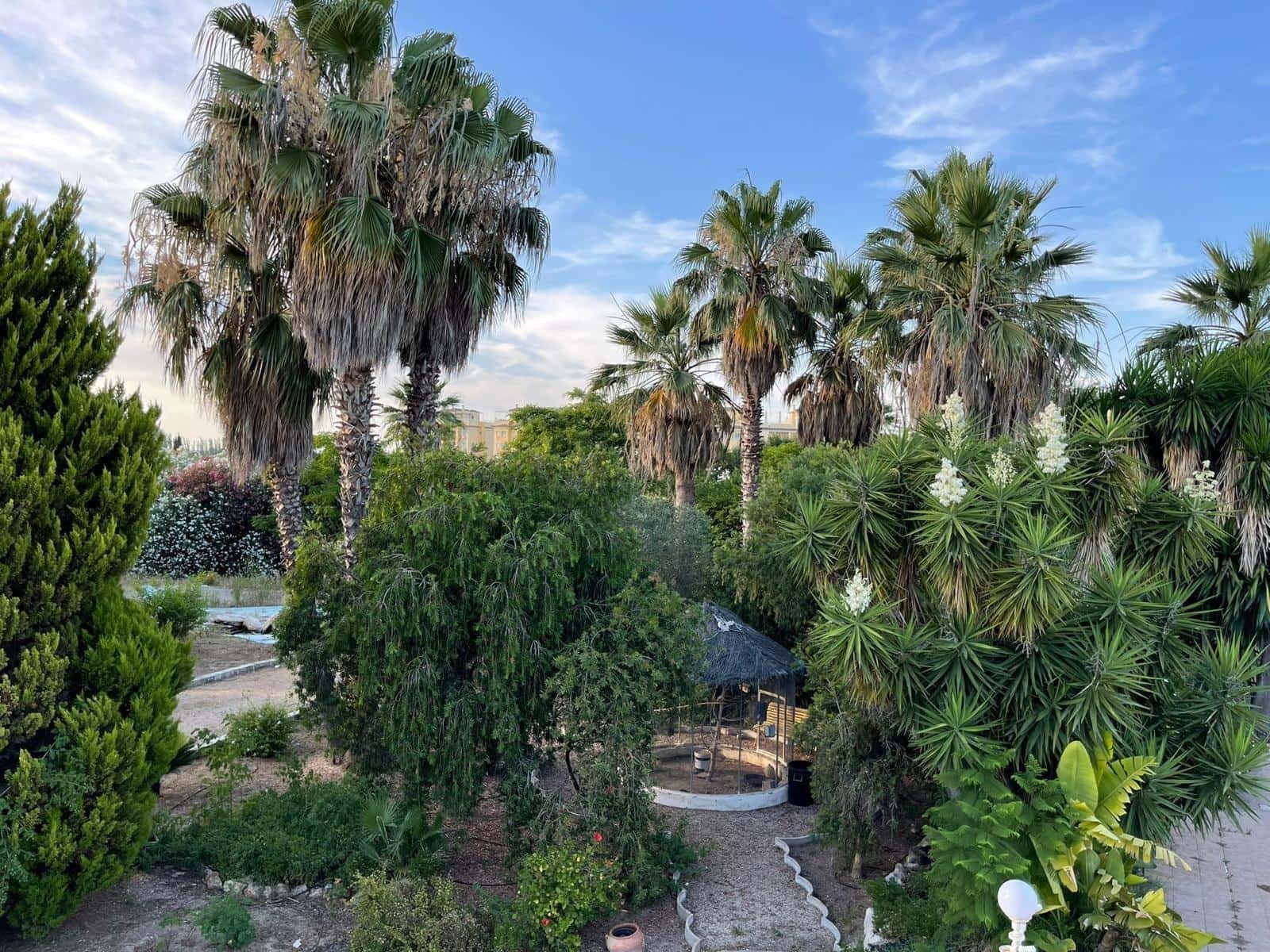 4 camera da letto Villa in vendita in Oliva Nova con piscina garage - 800.000 € (Rif: 9192508)