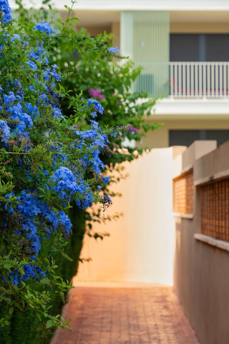 3 soverom Leilighet til salgs i Denia med svømmebasseng - € 420 000 (Ref: 9202570)