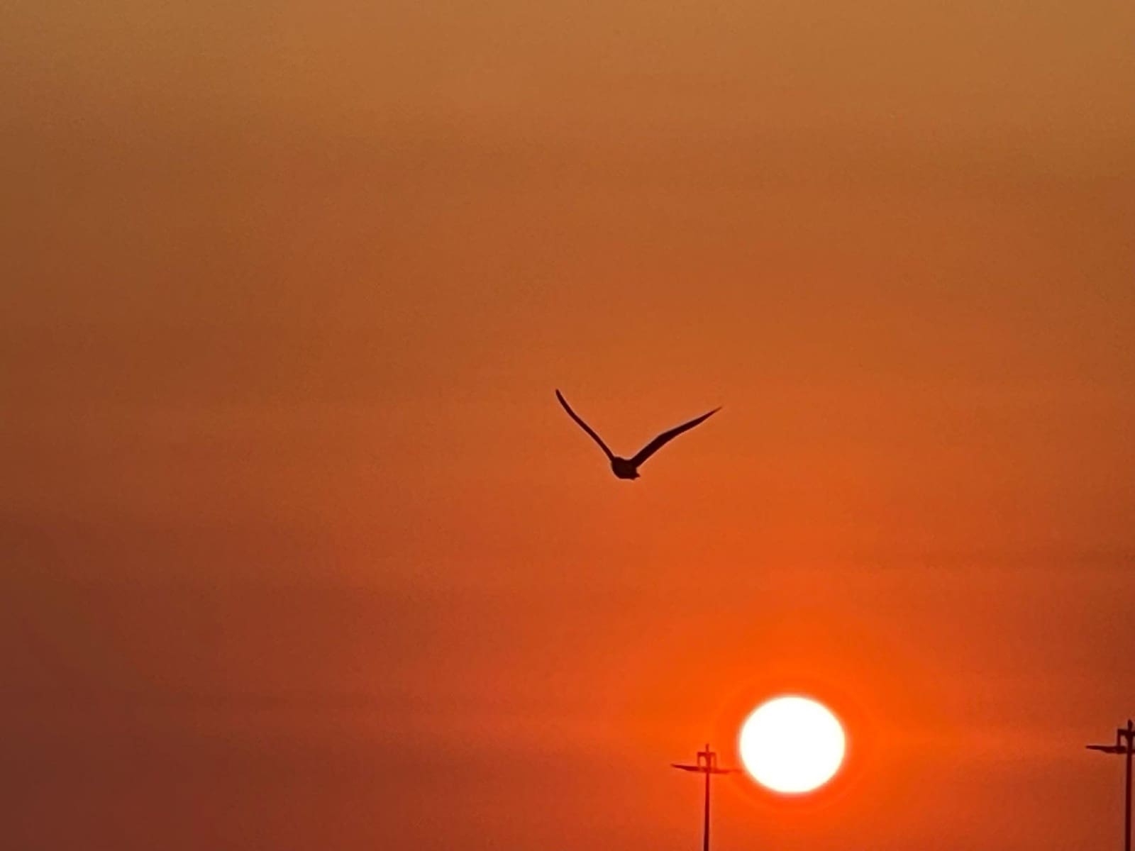 2 makuuhuone Kattohuoneisto myytävänä paikassa Denia - 375 000 € (Ref: 9272432)