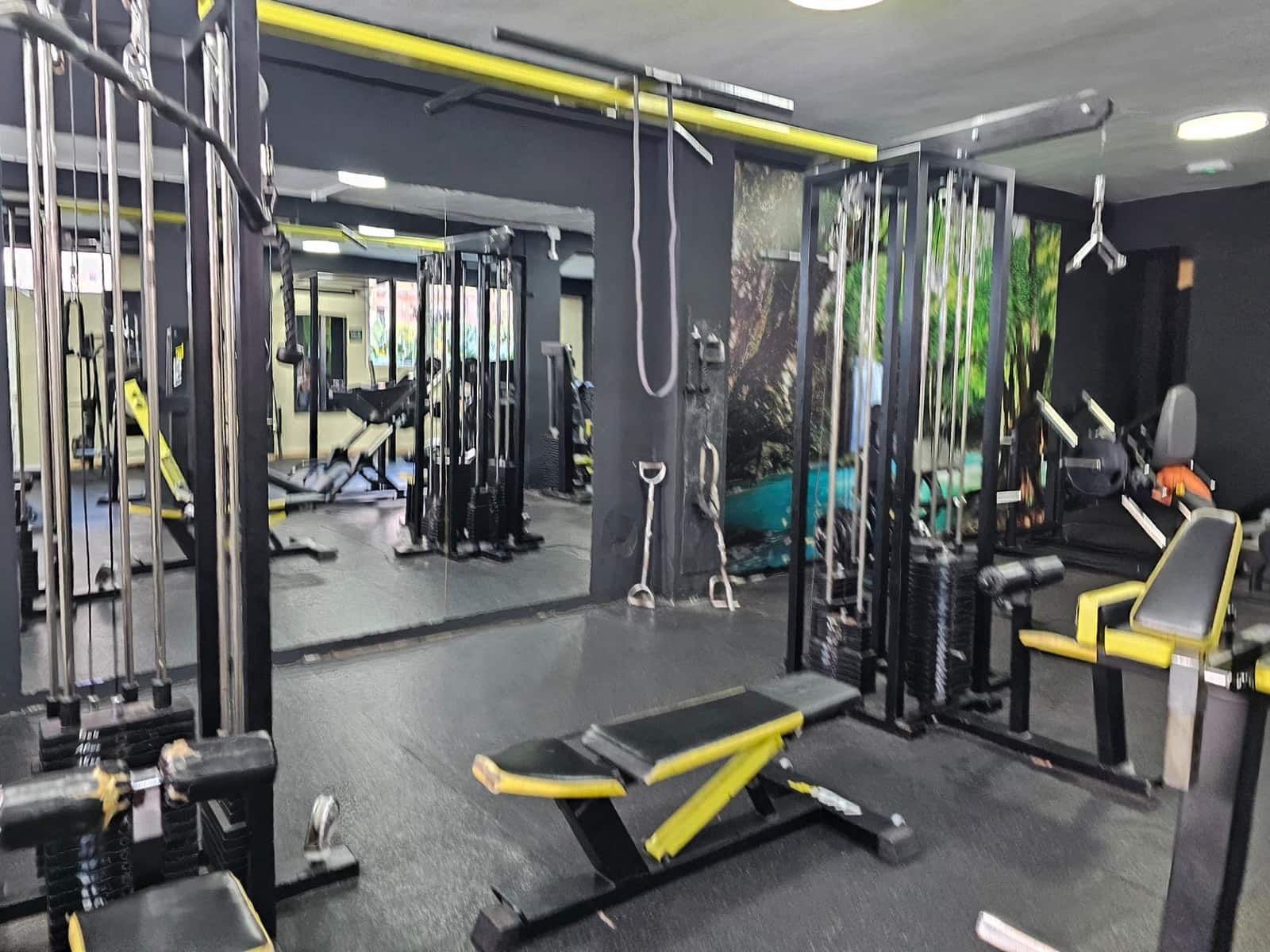 Negocio en Dénia en alquiler - 8.000 € (Ref: 9468572)