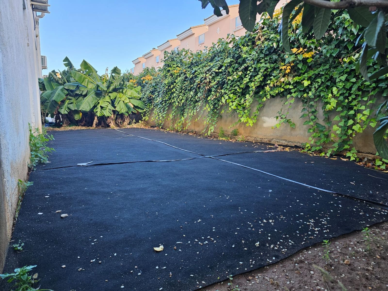 Negocio en Dénia en alquiler - 8.000 € (Ref: 9468572)