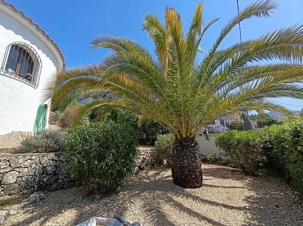 4 sovrum Villa till salu i Orba med pool garage - 460 000 € (Ref: 9509126)