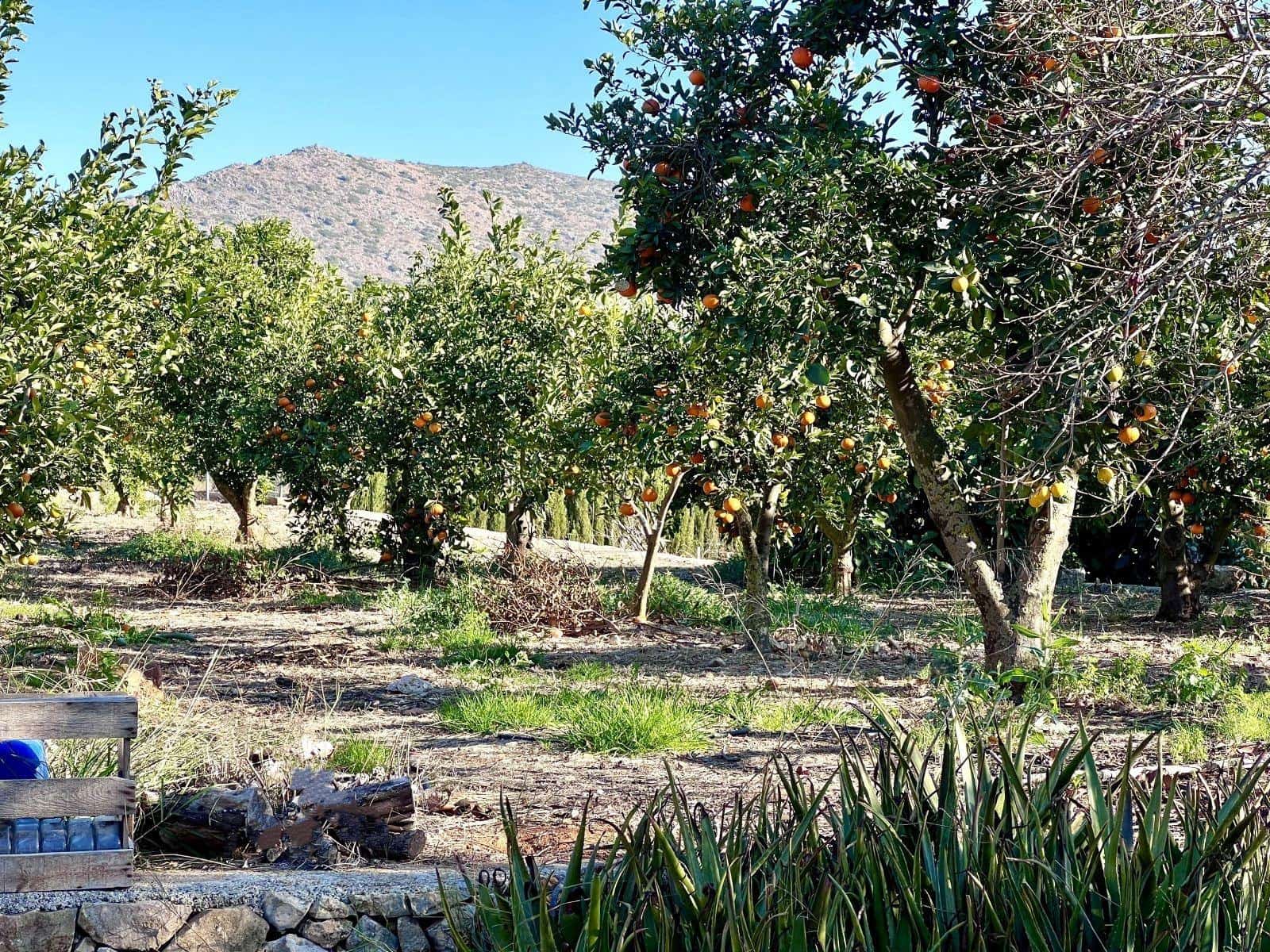 6 slaapkamer Villa te huur in Denia met zwembad - € 4.250 (Ref: 9530922)