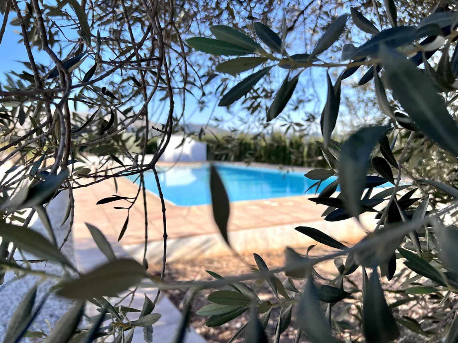 Chalet de 6 habitaciones en Dénia en alquiler con piscina - 4.250 € (Ref: 9530922)