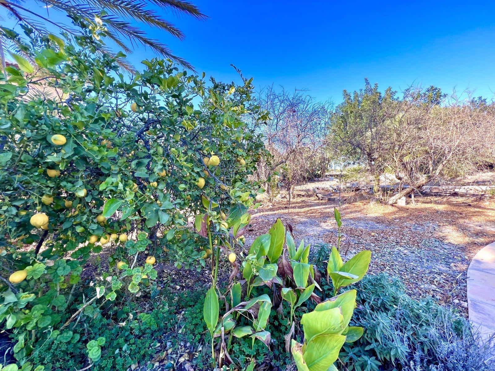 Chalet de 6 habitaciones en Dénia en alquiler con piscina - 4.250 € (Ref: 9530922)