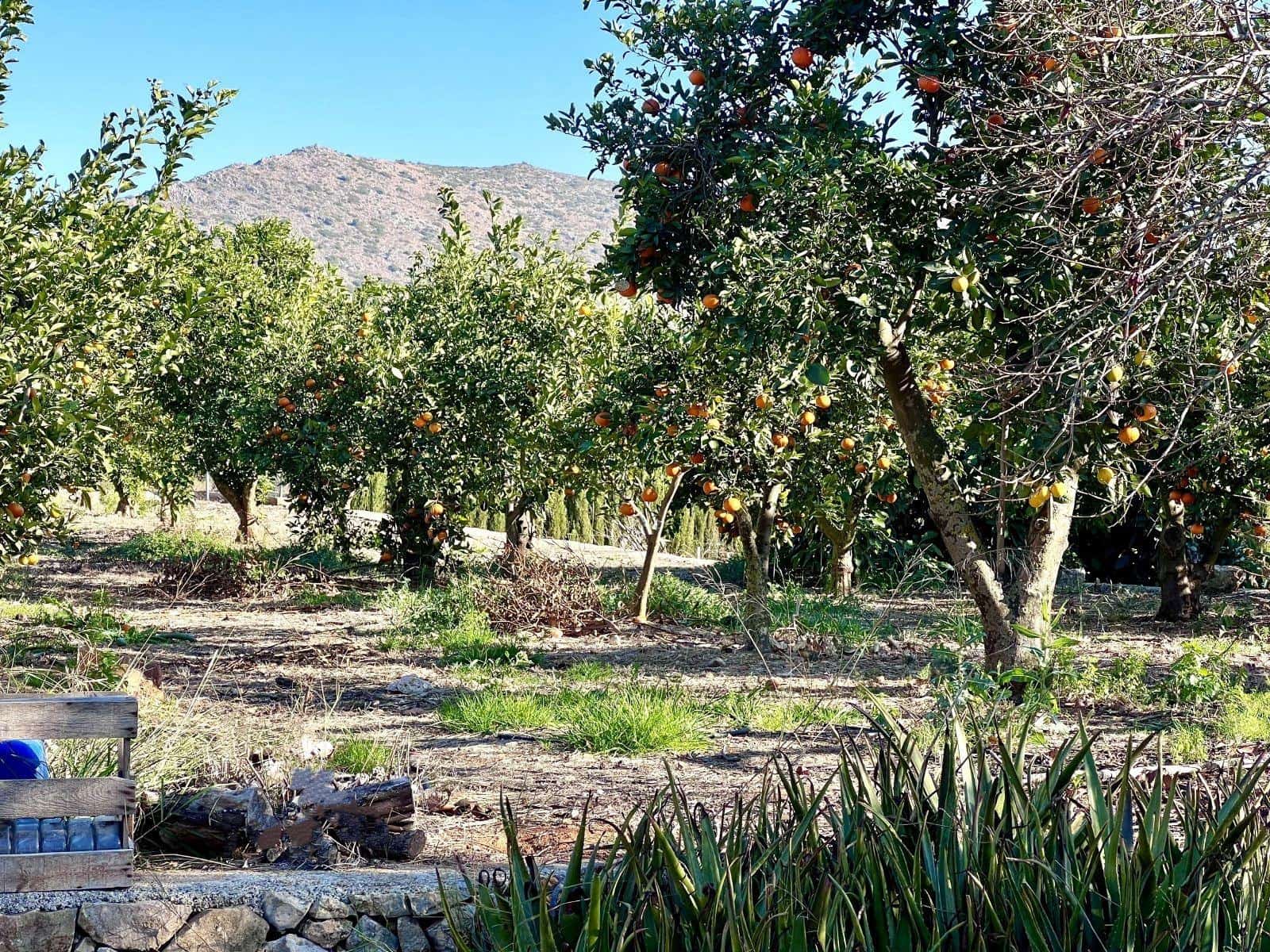 Chalet de 6 habitaciones en Dénia en alquiler con piscina - 4.250 € (Ref: 9530922)