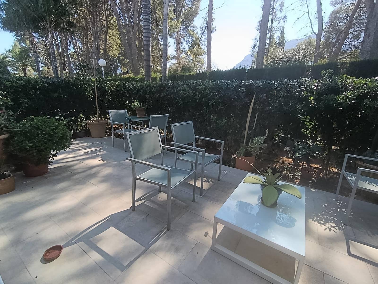 2 sovrum Lägenhet till salu i Denia med pool - 299 000 € (Ref: 9721842)