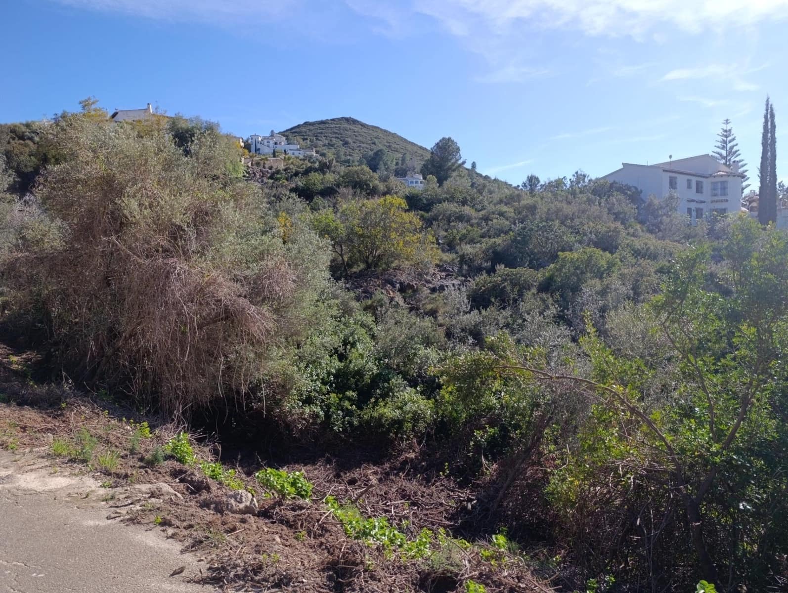 Building Plot for sale in Rafol de Almunia - € 250,000 (Ref: 9732376)