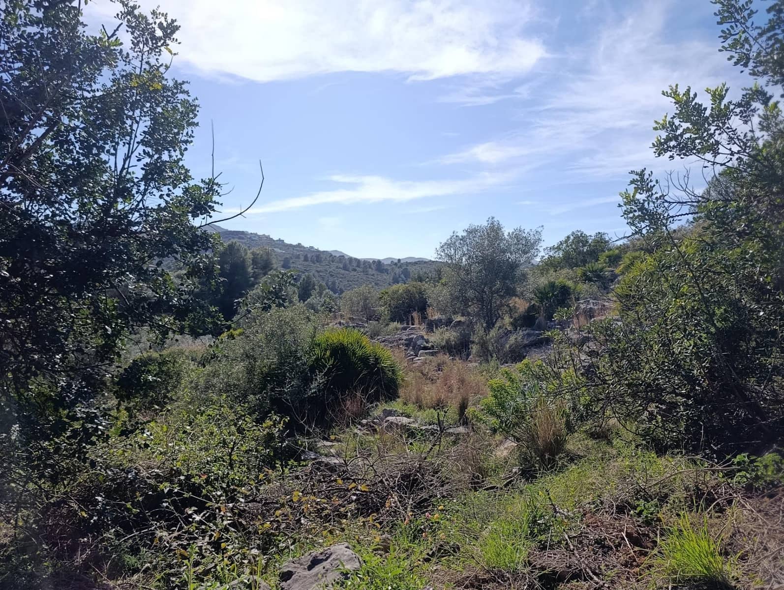 Building Plot for sale in Rafol de Almunia - € 250,000 (Ref: 9732376)