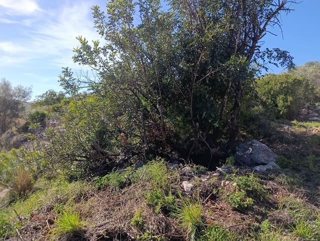 Terrain à Bâtir à vendre à Ráfol de Almunia - 250 000 € (Ref: 9732376)