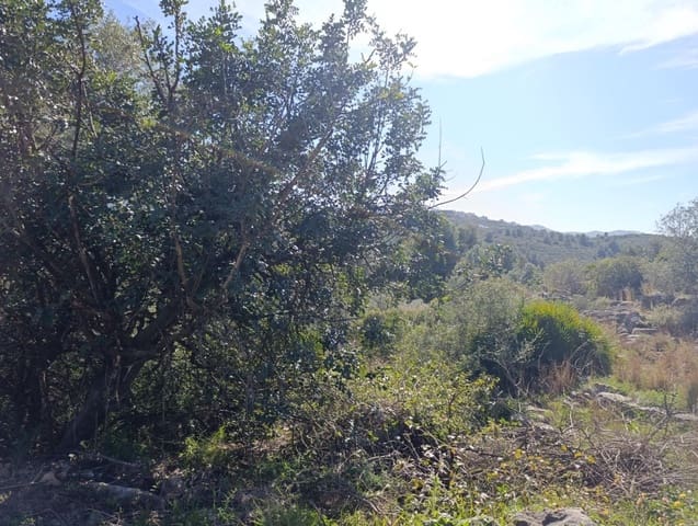Building Plot for sale in Ráfol de Almunia - € 250,000 (Ref: 9732376)