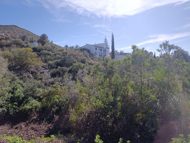 Building Plot for sale in Ráfol de Almunia - € 250,000 (Ref: 9732376)