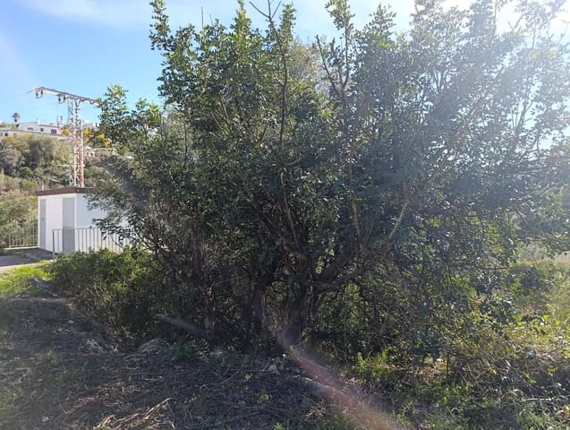 Building Plot for sale in Ráfol de Almunia - € 250,000 (Ref: 9732376)