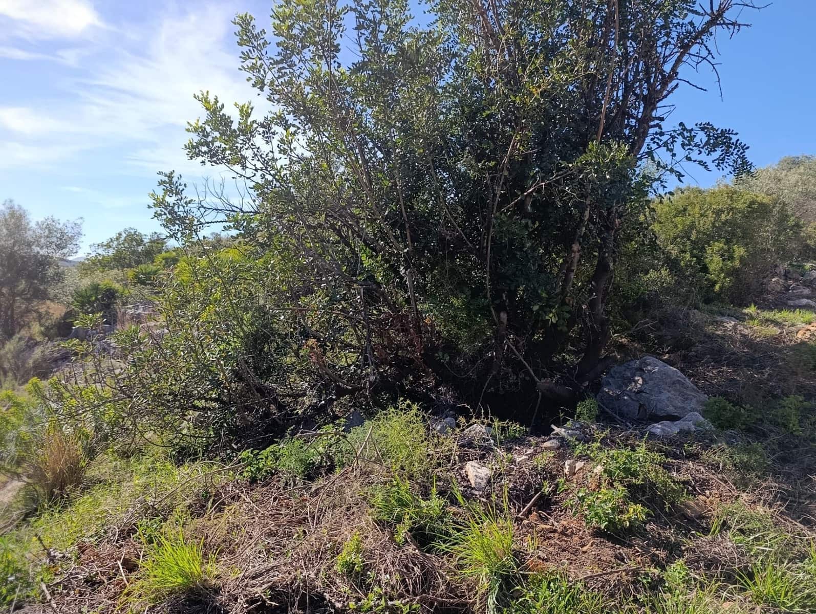 Building Plot for sale in Rafol de Almunia - € 250,000 (Ref: 9732376)