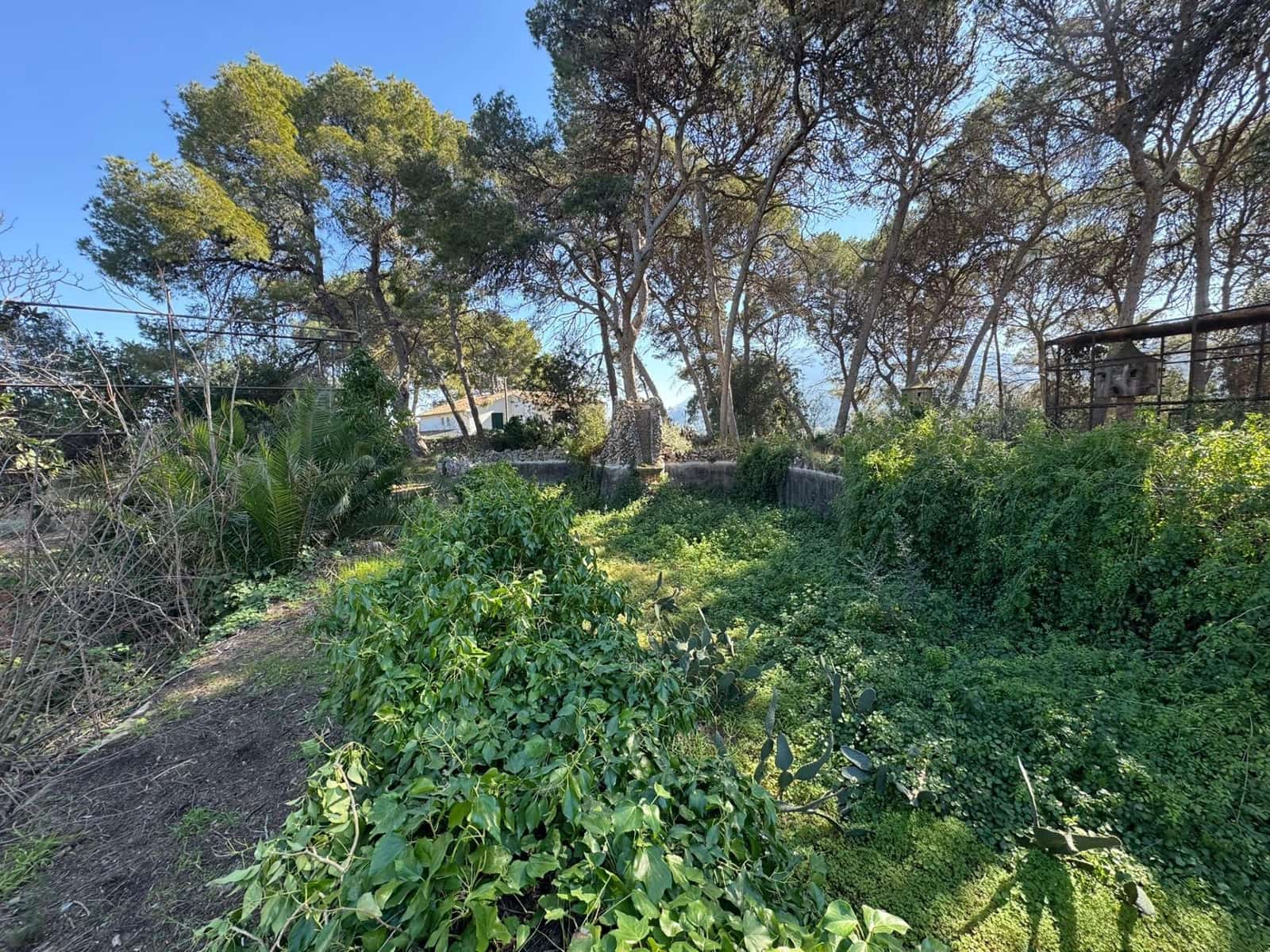 Finca/Casa Rural de 10 habitaciones en Dénia en venta con piscina garaje - 8.000.000 € (Ref: 9738950)