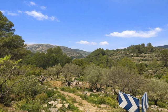 Terreno Não Urbanizado para venda em Castell de Castells - 87 000 € (Ref: 9804493)