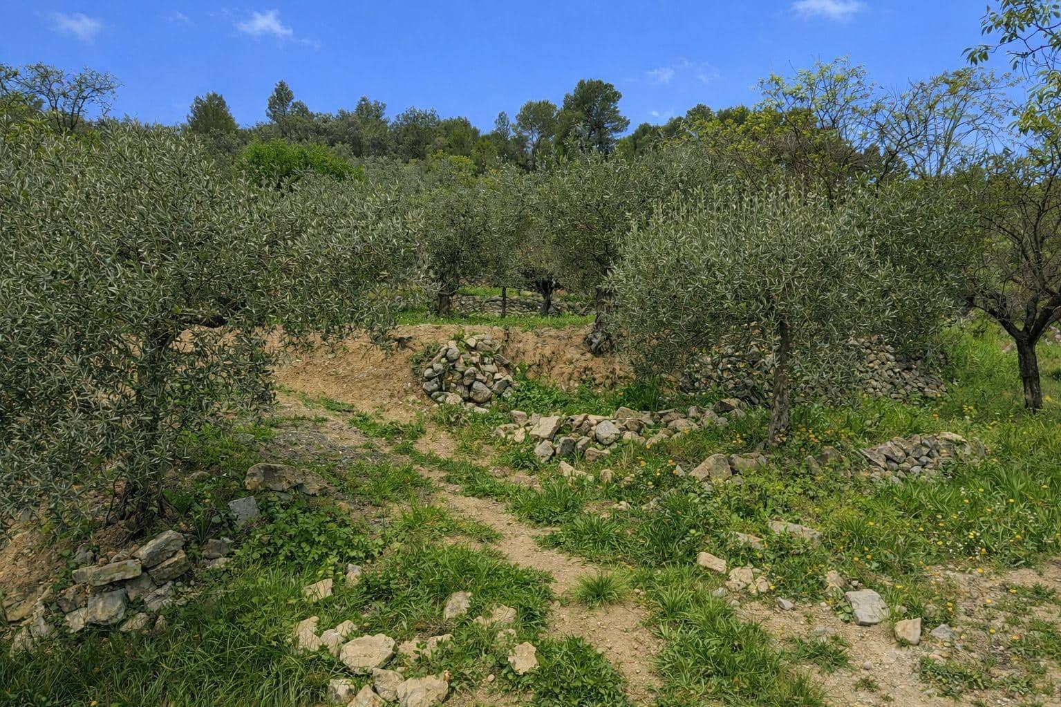 Terreno Não Urbanizado para venda em Castell de Castells - 87 000 € (Ref: 9804493)