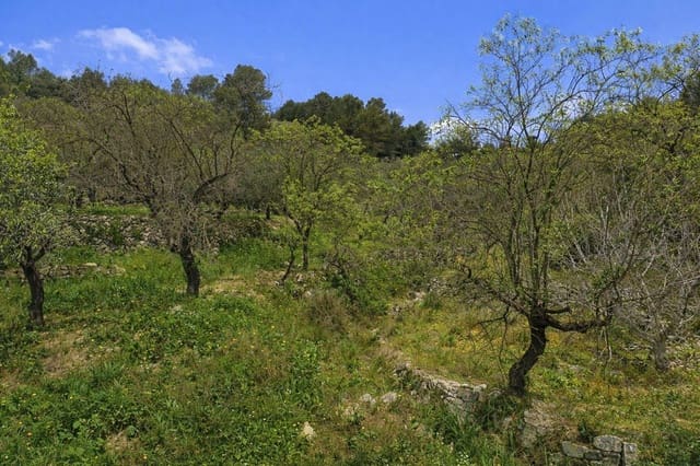 Terreno Não Urbanizado para venda em Castell de Castells - 87 000 € (Ref: 9804493)