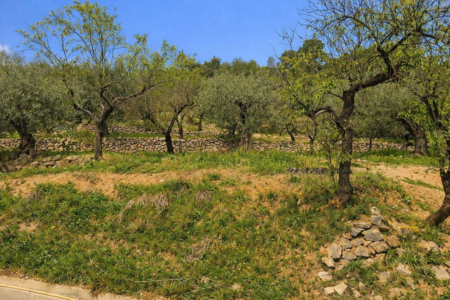 Terreno Não Urbanizado para venda em Castell de Castells - 87 000 € (Ref: 9804493)
