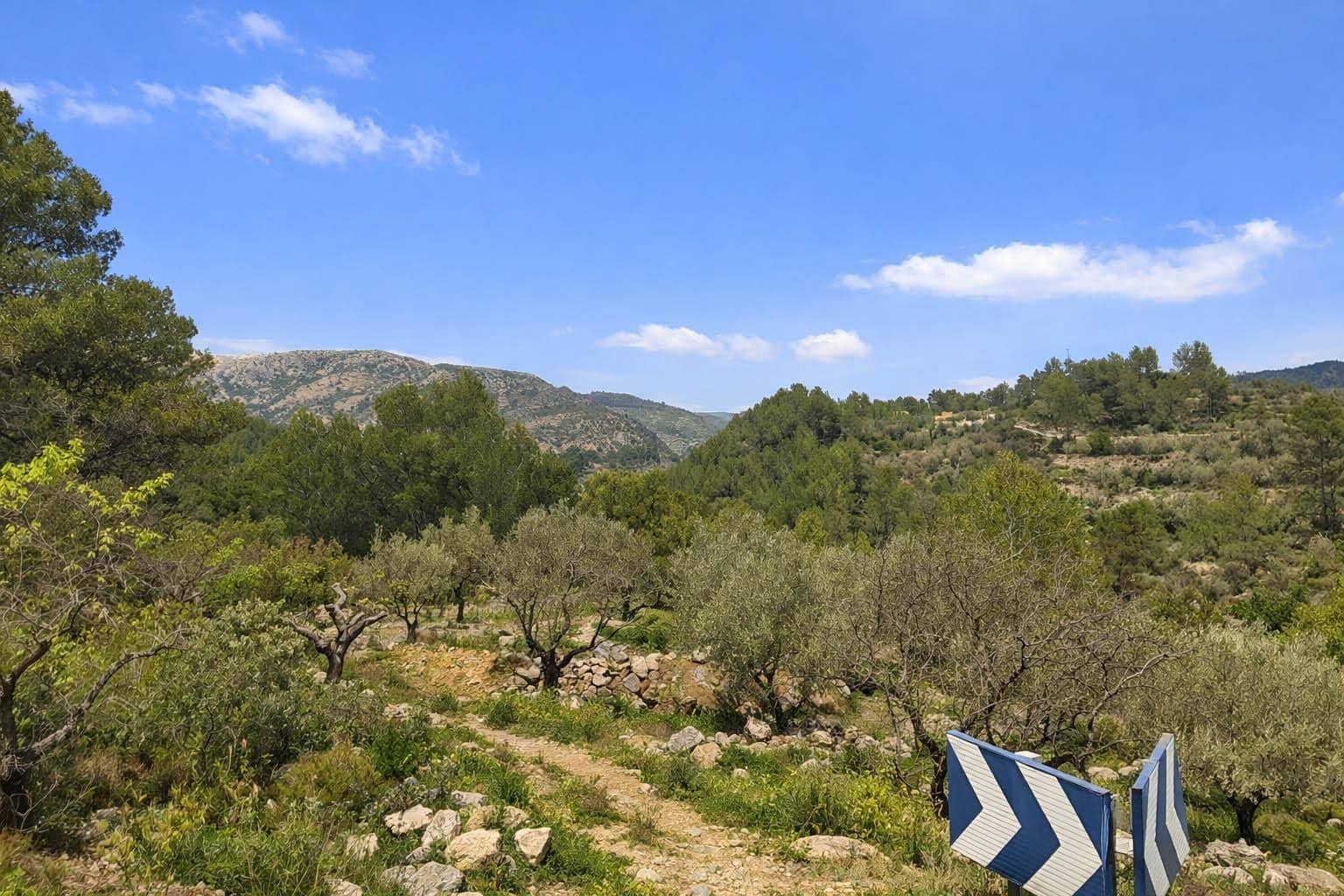 Undeveloped Land for sale in Castell de Castells - € 87,000 (Ref: 9804493)