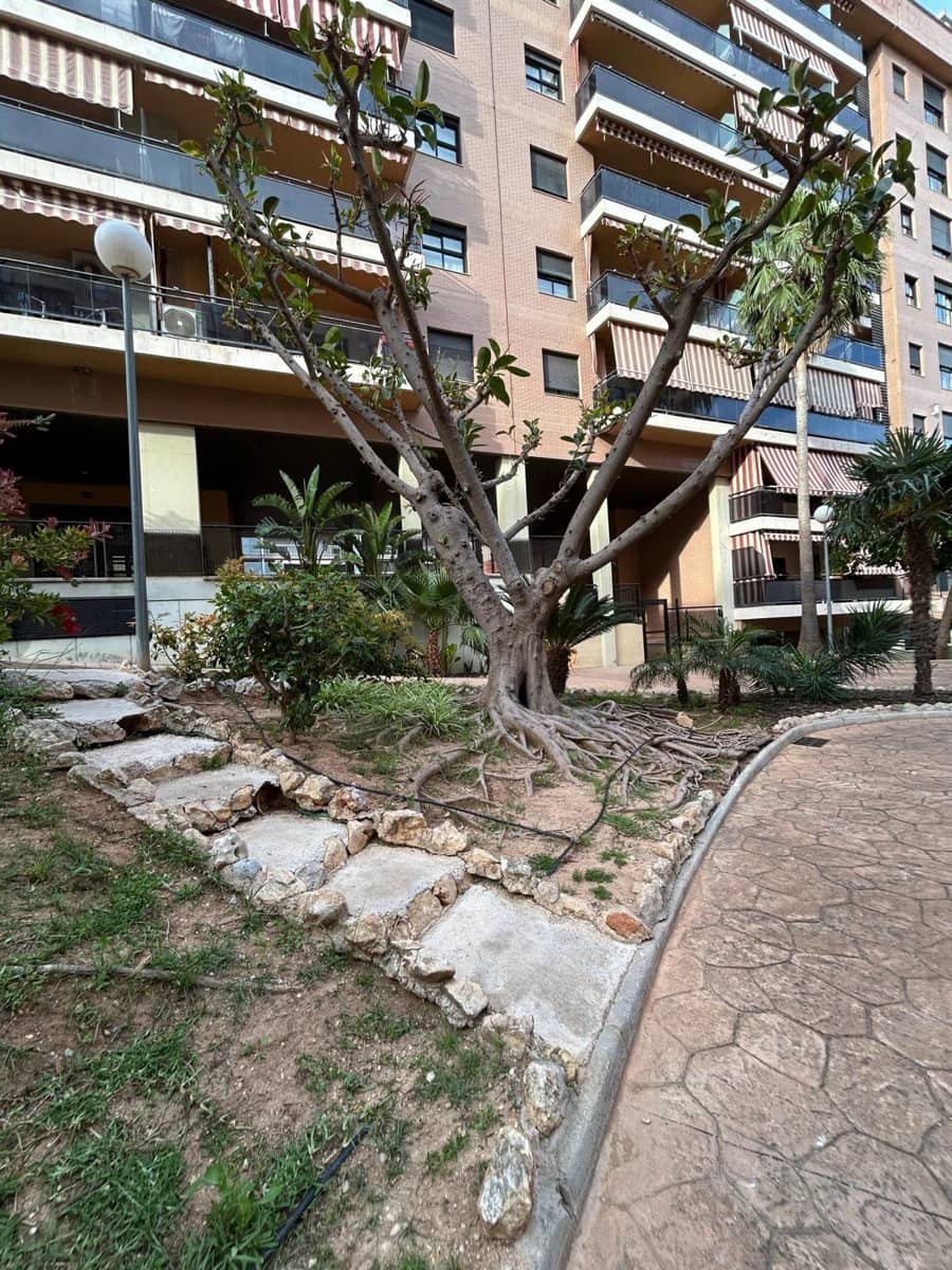2 bedroom Apartment for rent in Gandia with pool - € 950 (Ref: 9822735)