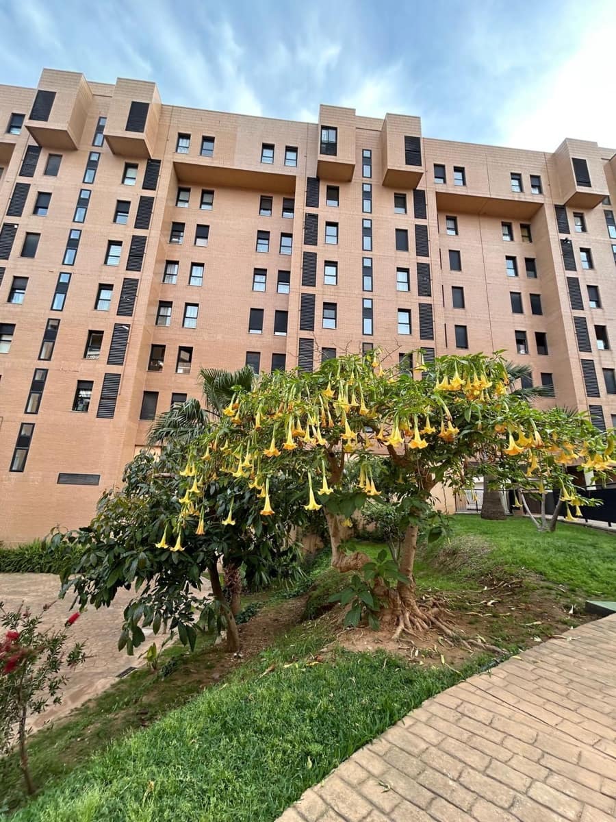 2 bedroom Apartment for rent in Gandia with pool - € 950 (Ref: 9822735)