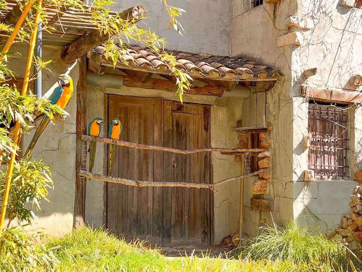 4 bedroom Finca/Country House for sale in Lliber with pool garage - € 990,000 (Ref: 9876579)