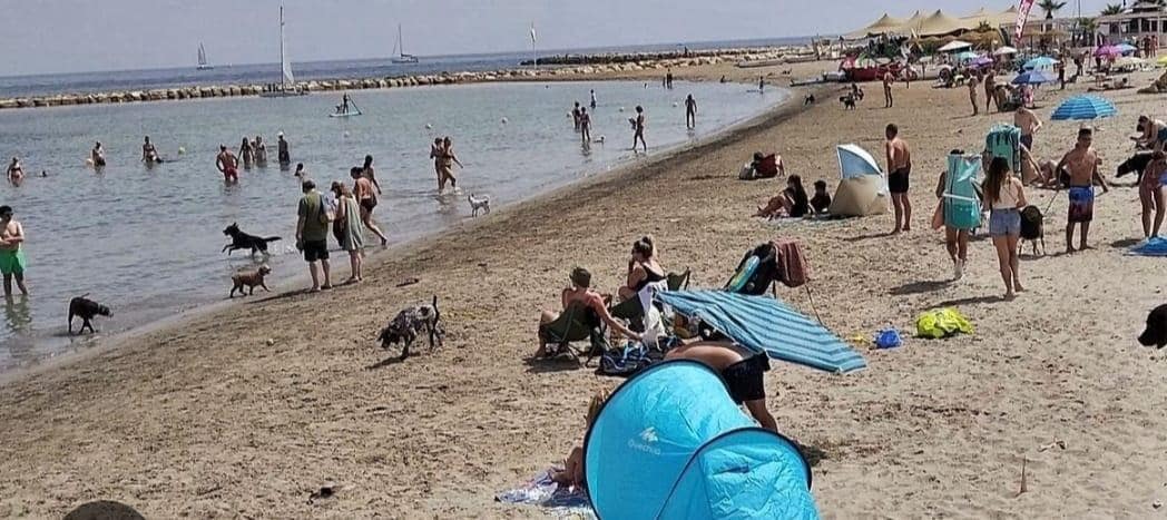 3 quarto Apartamento para arrendar em Denia com piscina garagem - 1 100 € (Ref: 9983118)