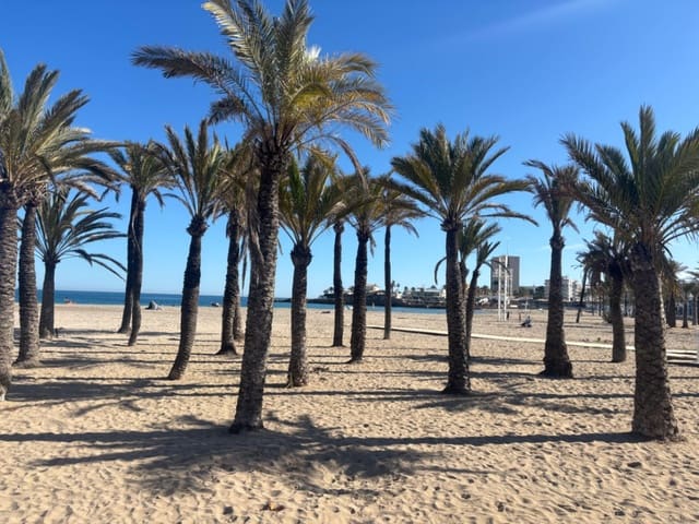 Local Commercial à louer à Arenal, Javea / Xàbia - 1 100 € (Ref: 10031132)