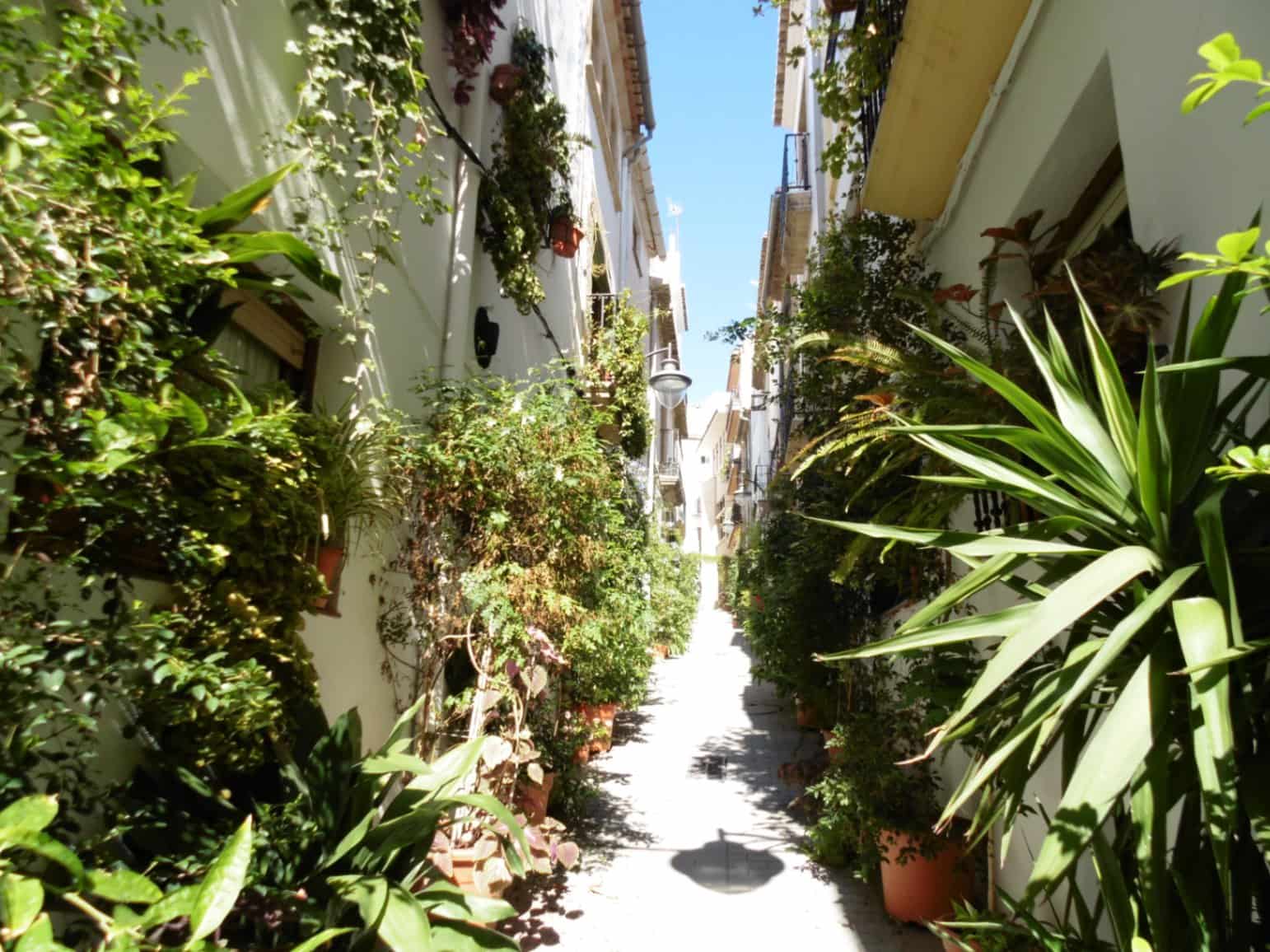 Kaupallinen myytävänä paikassa Javea / Xabia - 250 000 € (Ref: 8803208)