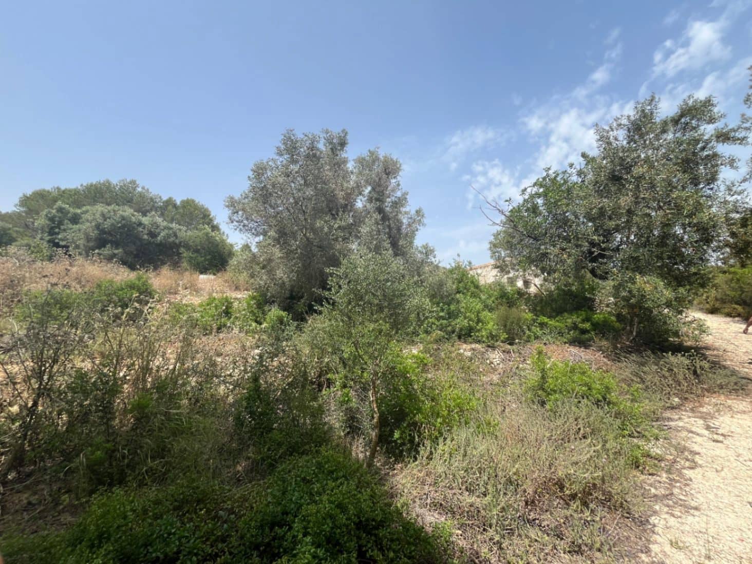 Villa for sale in Javea / Xabia - € 240,000 (Ref: 9103633)