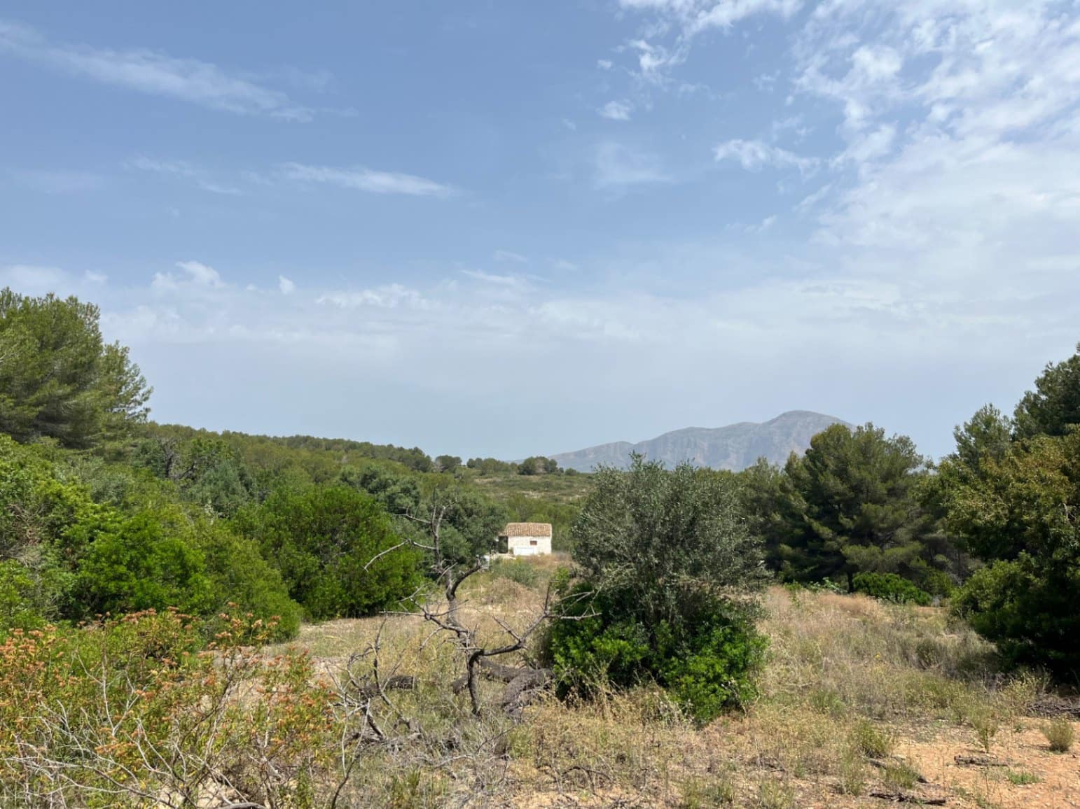 Villa for sale in Javea / Xabia - € 240,000 (Ref: 9103633)