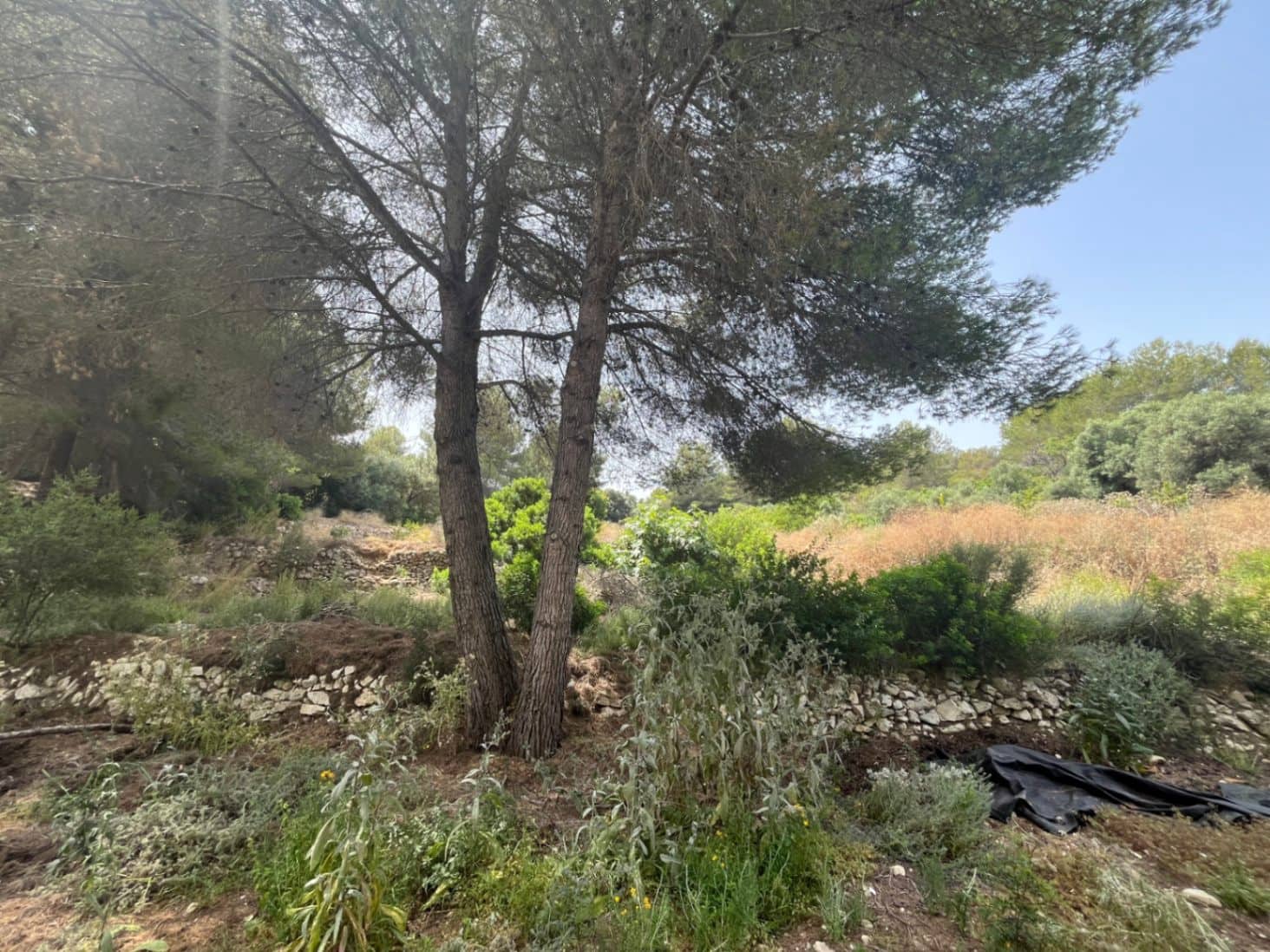 Villa for sale in Javea / Xabia - € 240,000 (Ref: 9103633)