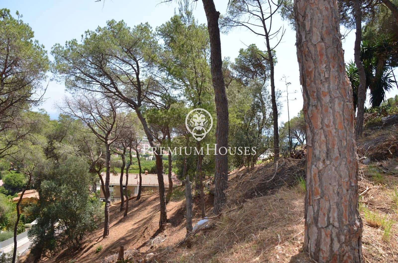 Byggetomt til salgs i Premia de Dalt - € 425 000 (Ref: 9205021)