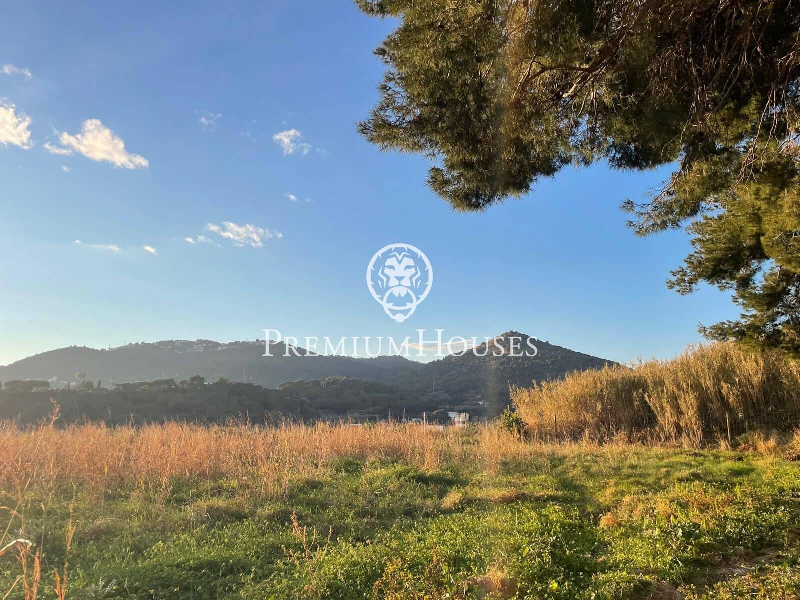 5 camera da letto Finca/Casa di Campagna in vendita in Pineda de Mar con piscina - 1.250.000 € (Rif: 9205035)