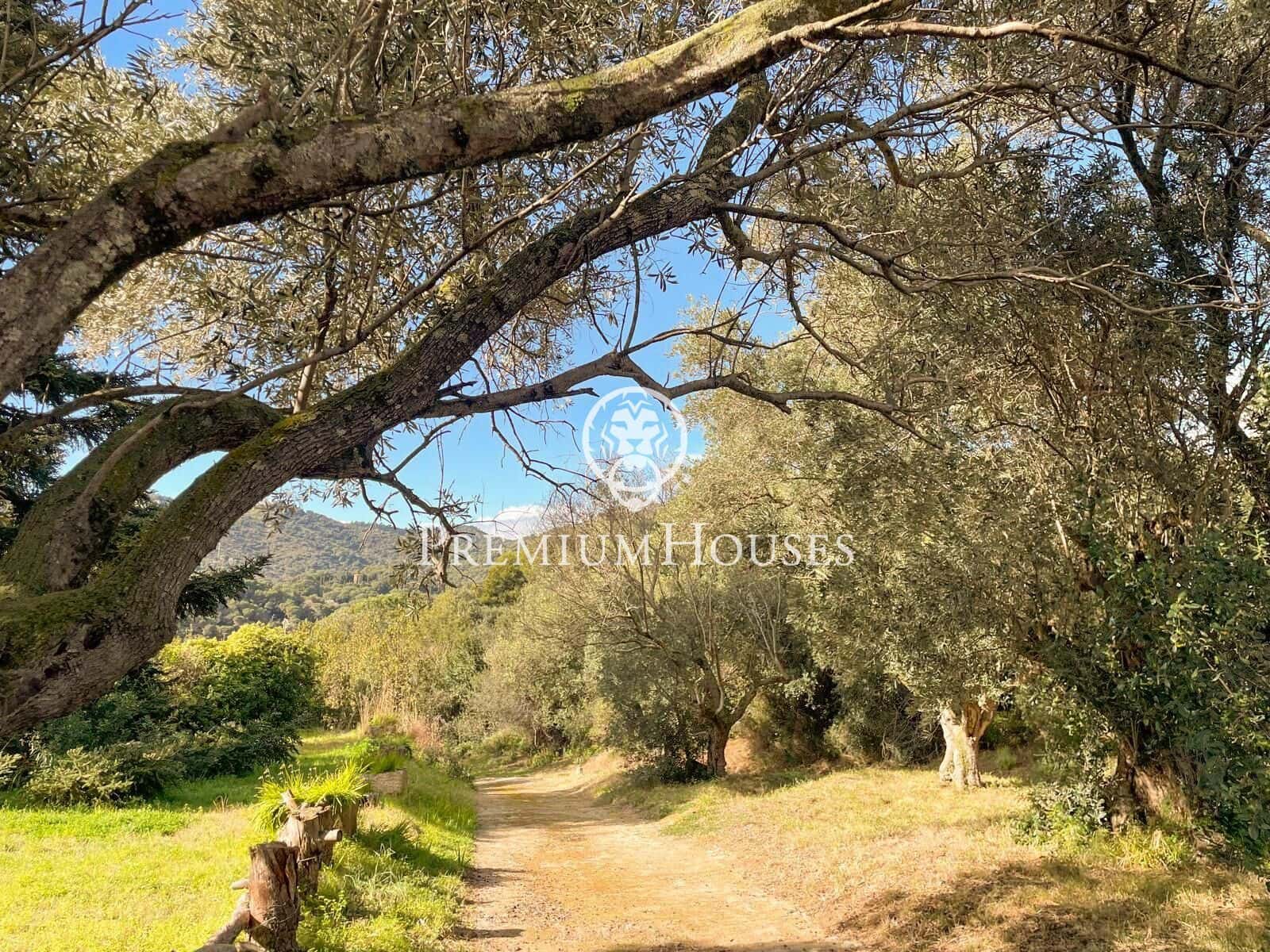 5 camera da letto Finca/Casa di Campagna in vendita in Pineda de Mar con piscina - 1.250.000 € (Rif: 9205035)