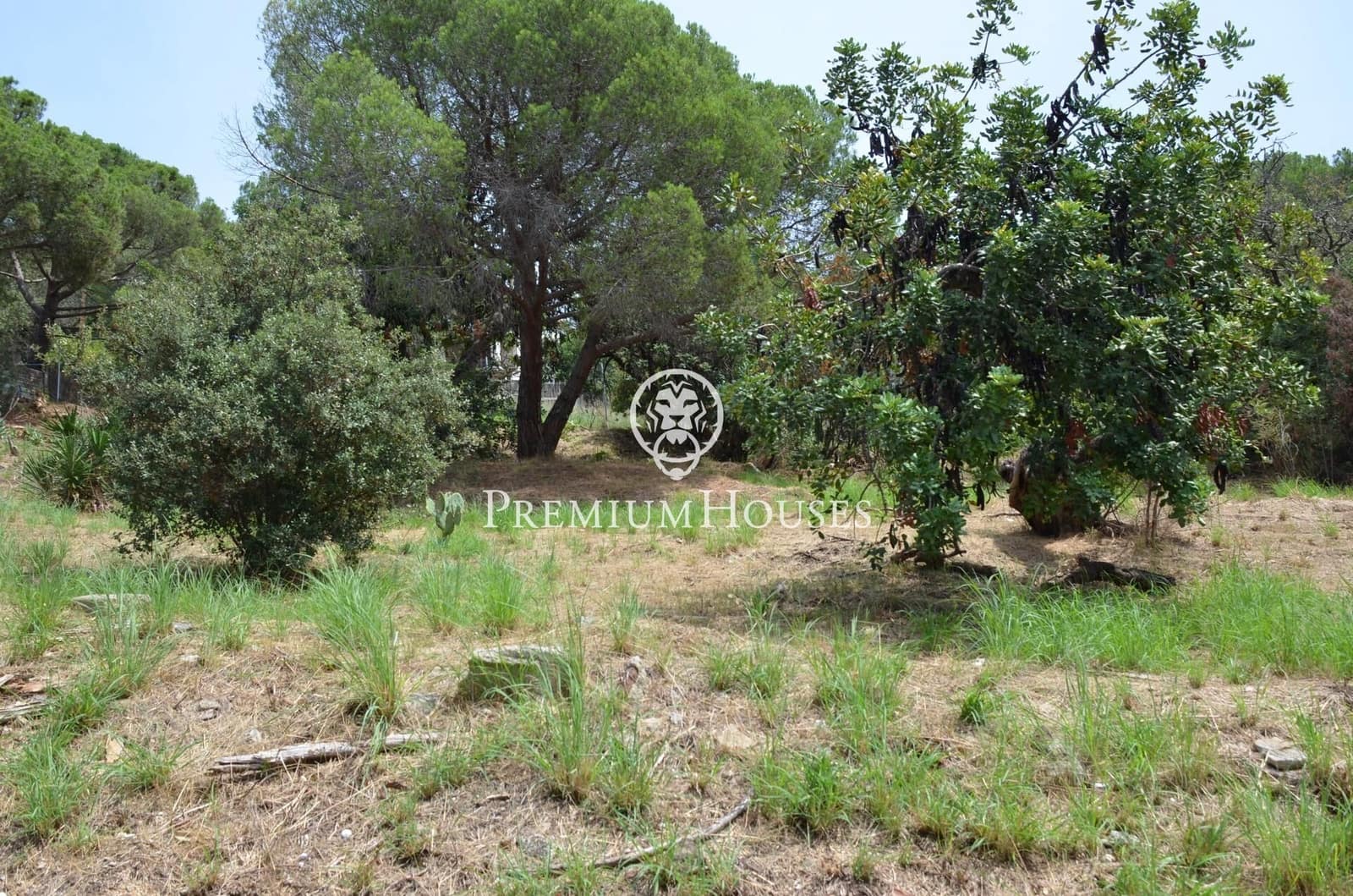 Tontti myytävänä paikassa Cabrils - 495 000 € (Ref: 9205081)