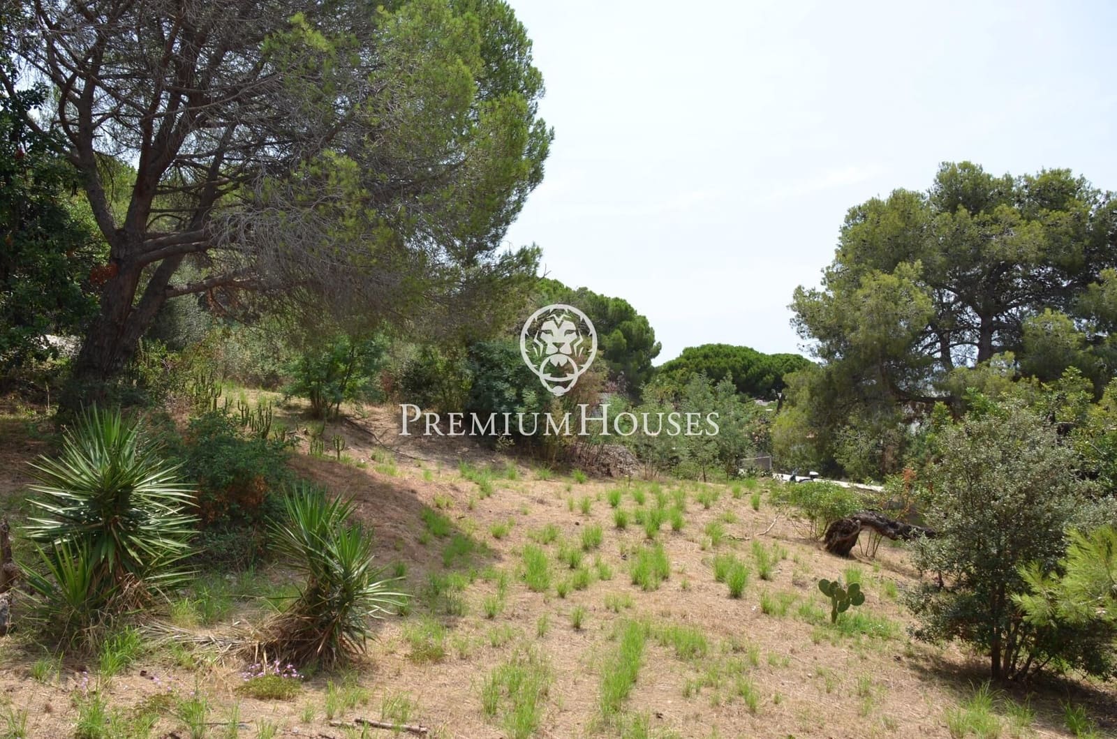 Tontti myytävänä paikassa Cabrils - 495 000 € (Ref: 9205081)