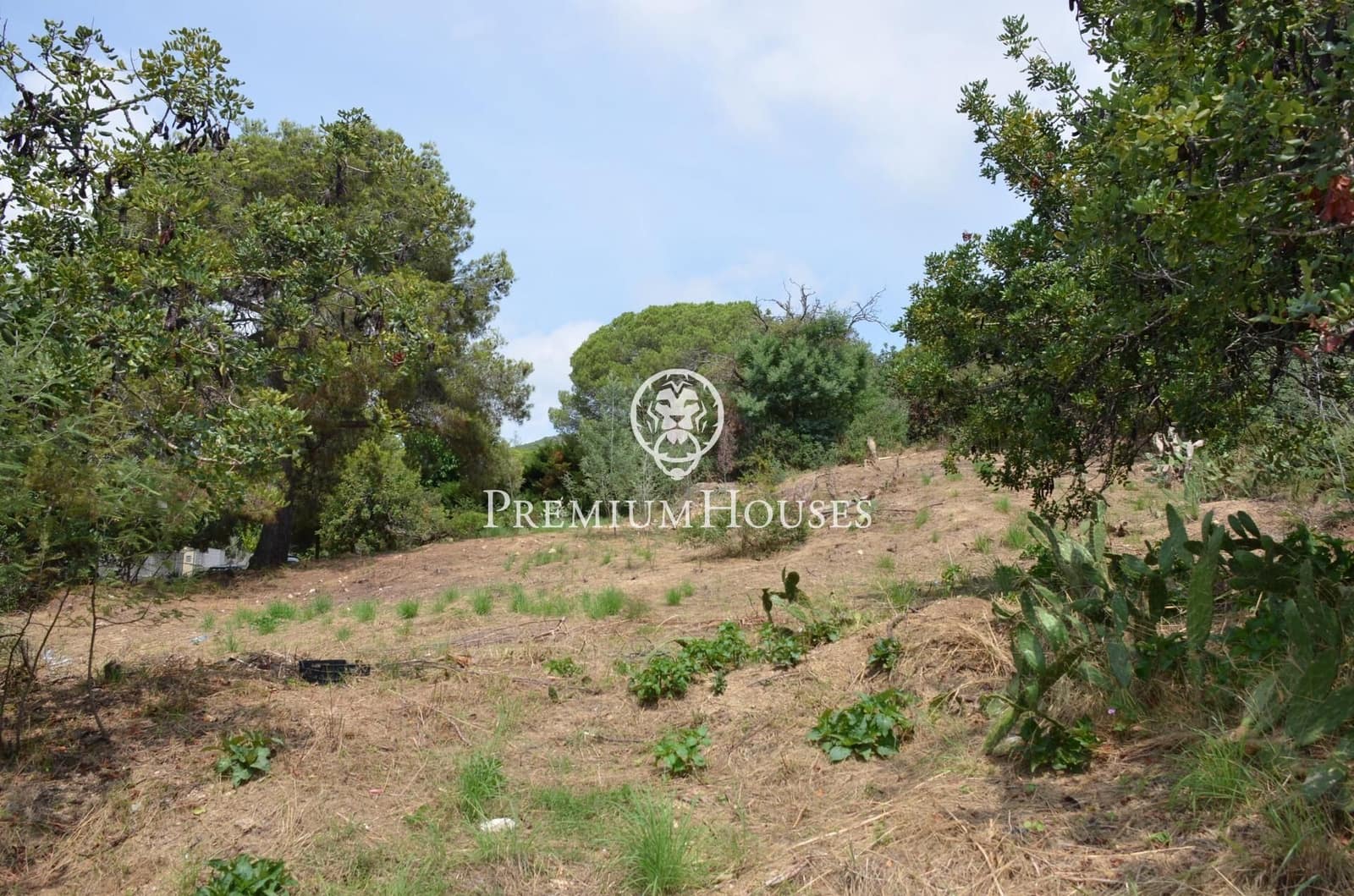 Tontti myytävänä paikassa Cabrils - 495 000 € (Ref: 9205081)