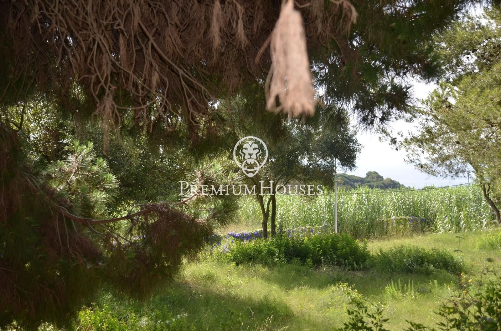 Tontti myytävänä paikassa Cabrera de Mar - 525 000 € (Ref: 9205122)