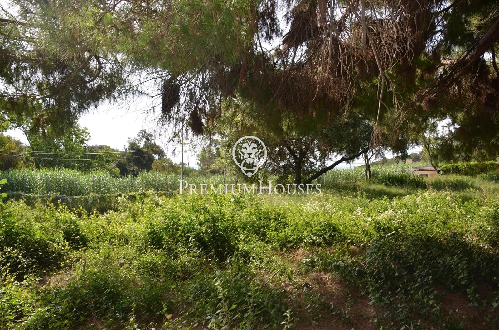 Tontti myytävänä paikassa Cabrera de Mar - 525 000 € (Ref: 9205122)