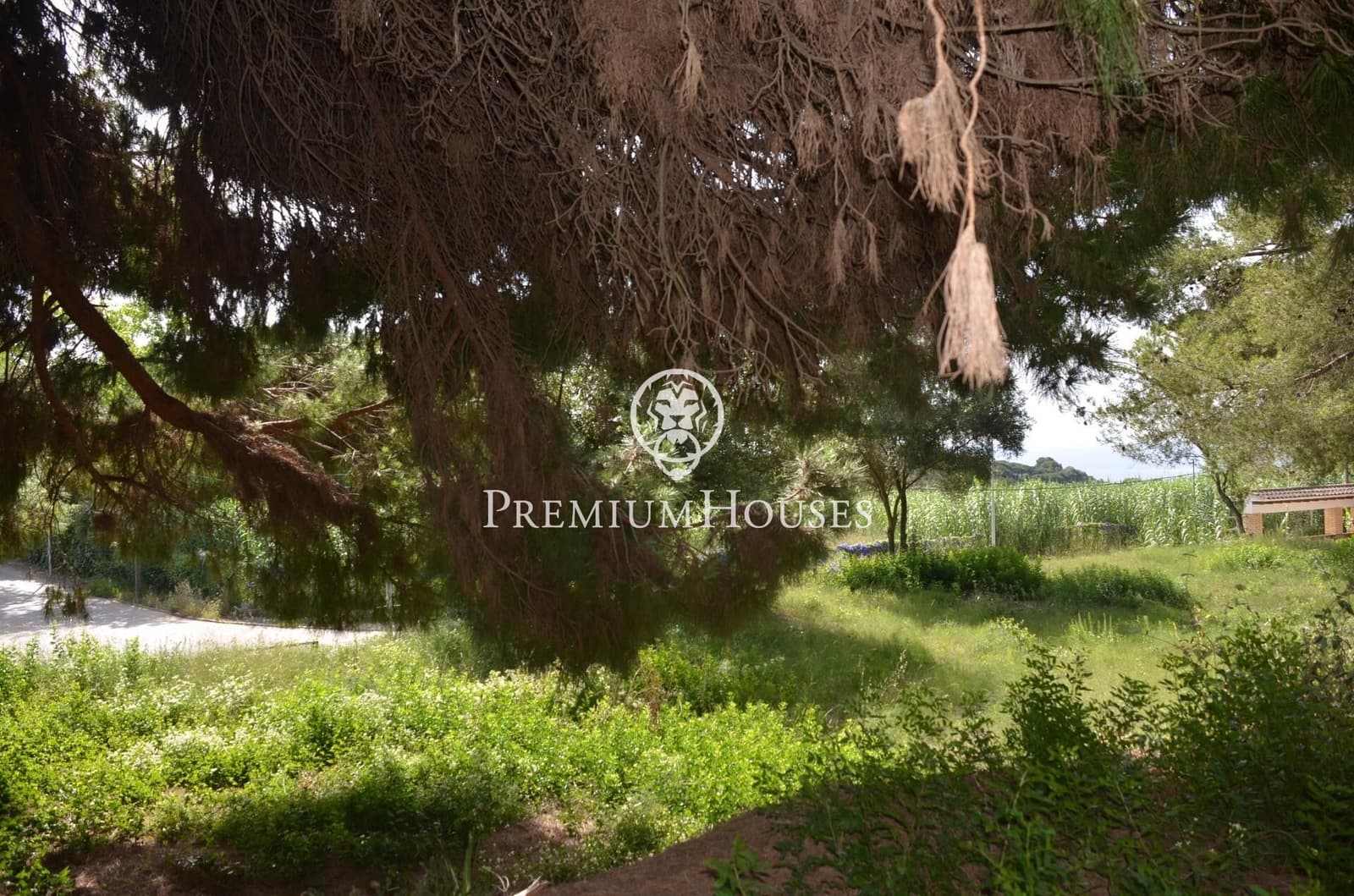 Tontti myytävänä paikassa Cabrera de Mar - 525 000 € (Ref: 9205122)