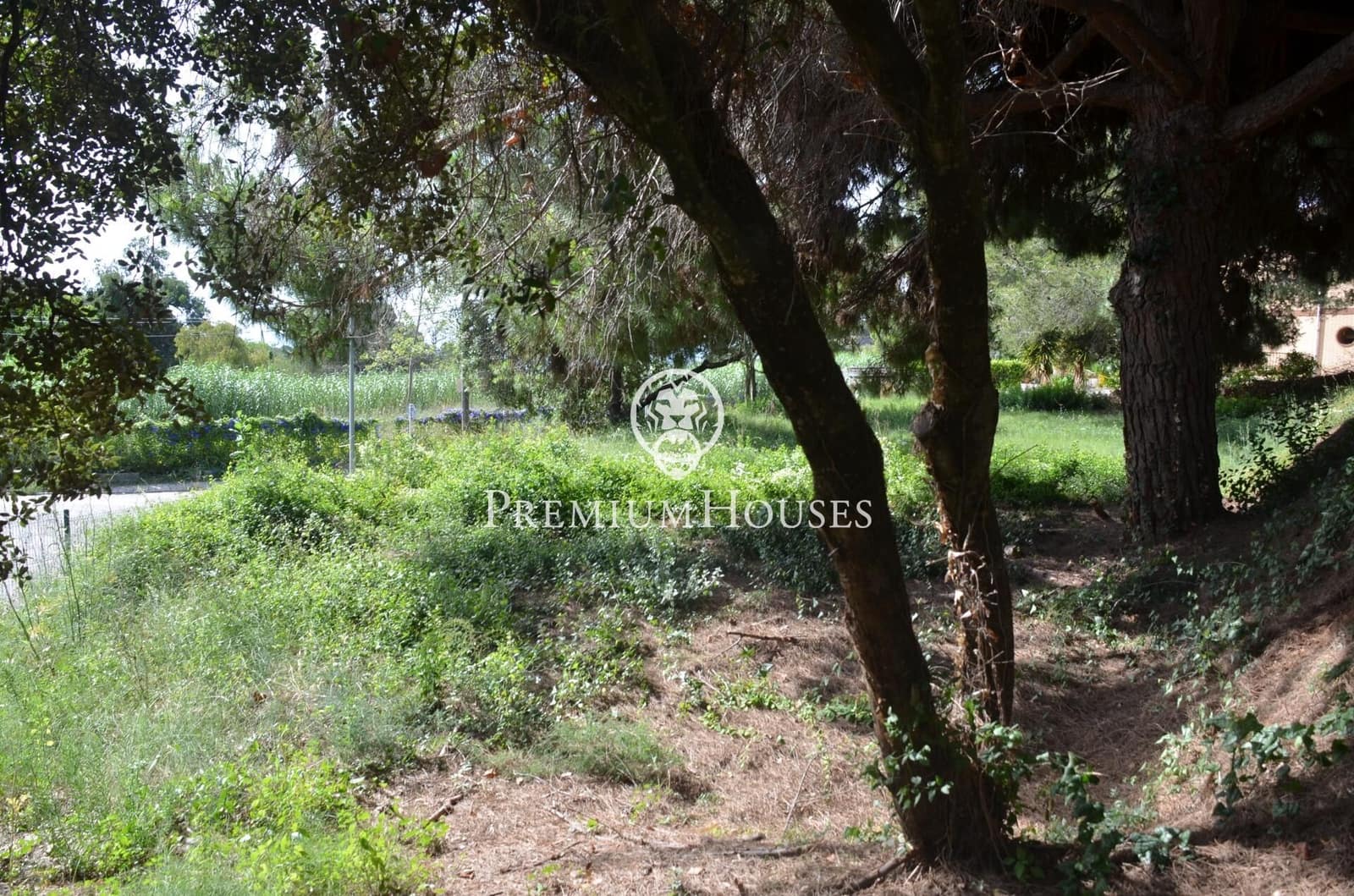 Tontti myytävänä paikassa Cabrera de Mar - 525 000 € (Ref: 9205122)