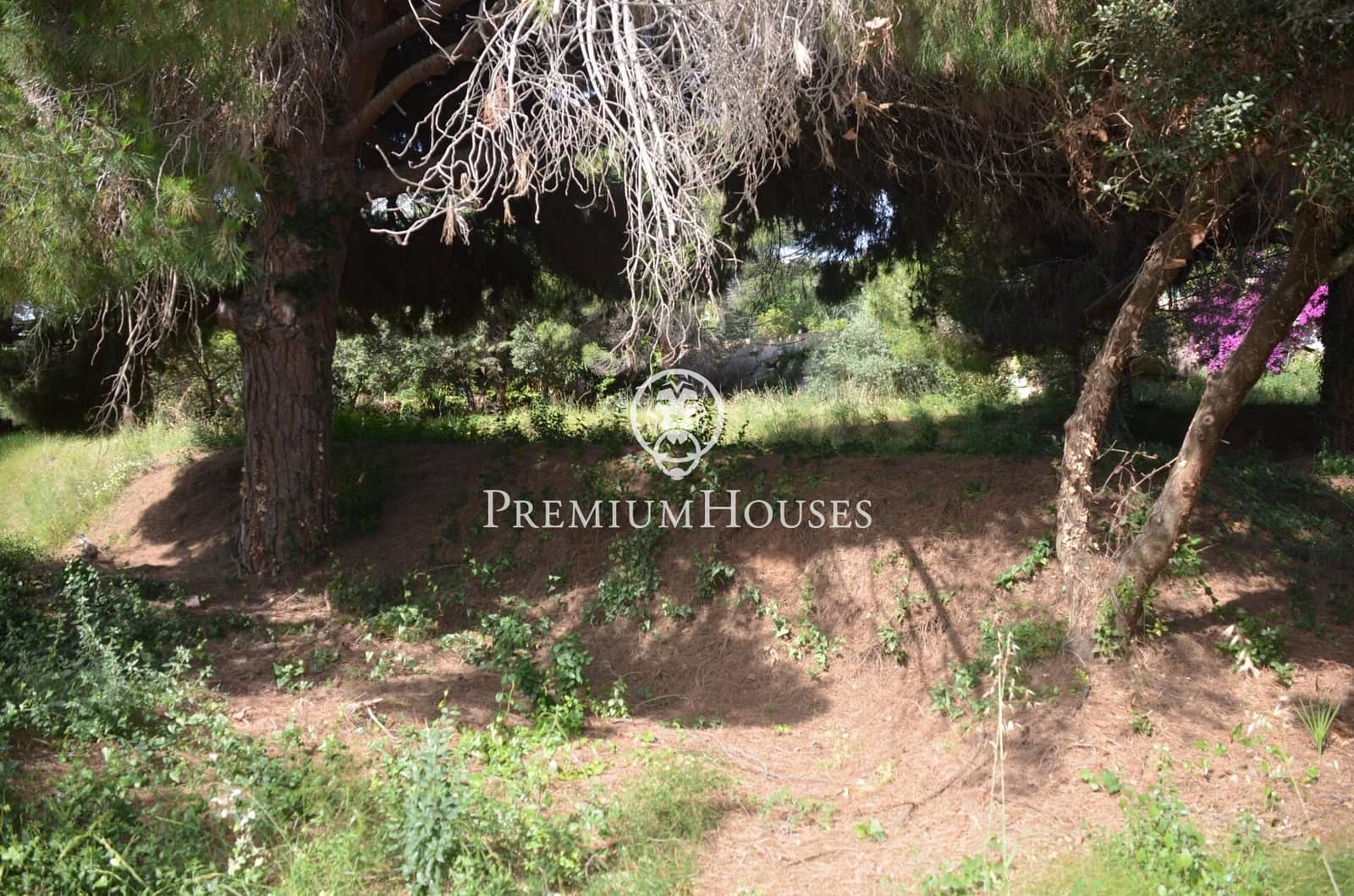 Tontti myytävänä paikassa Cabrera de Mar - 525 000 € (Ref: 9205122)