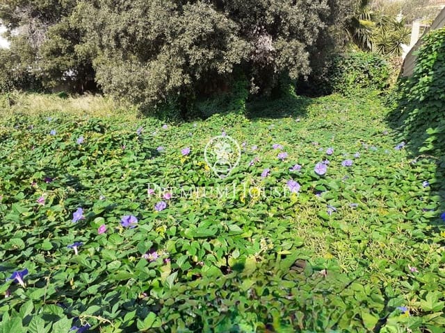 Building Plot for sale in Dosrius - € 90,000 (Ref: 9205137)