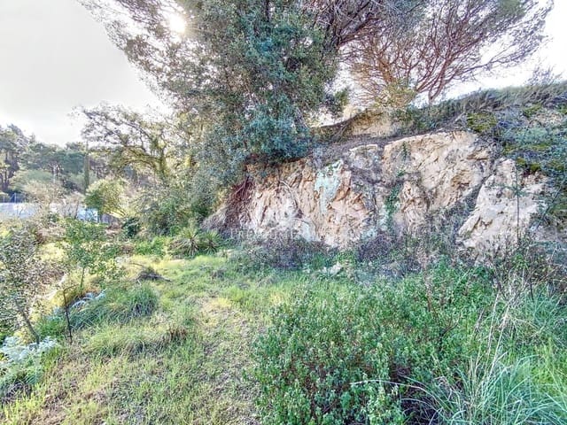 Building Plot for sale in Blanes - € 2,200,000 (Ref: 9205141)