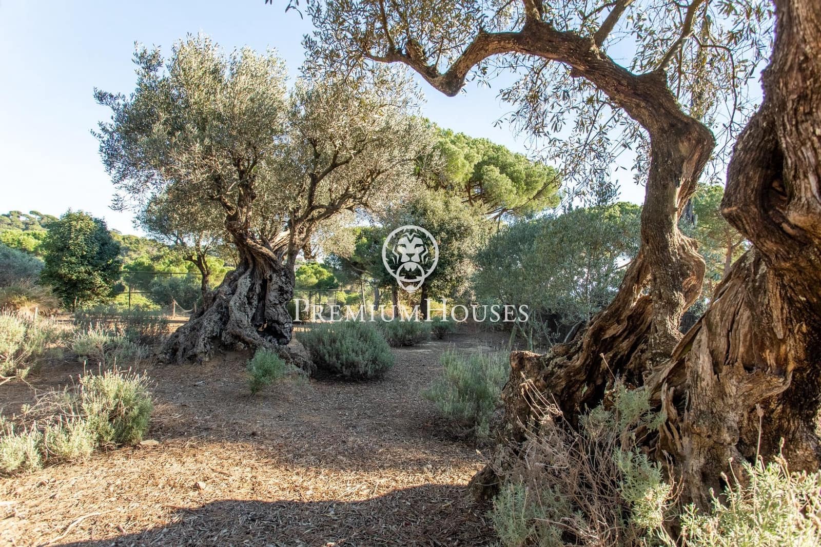 5 sovrum Villa till salu i Sant Andreu de Llavaneres med pool garage - 1 450 000 € (Ref: 9446329)